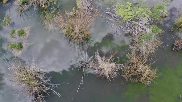 Clouds reflecting in beaver pond while flying over the water