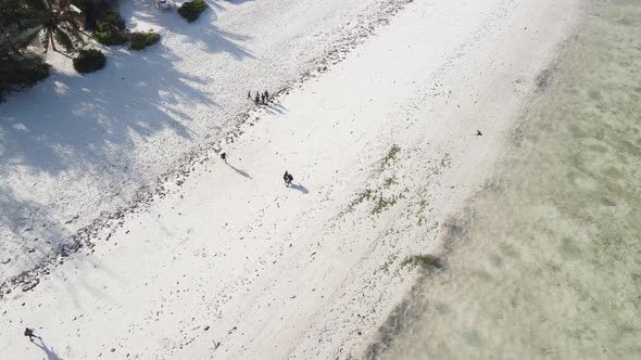 Zanzibar Tanzania  People Play Football on the Beach Slow Motion