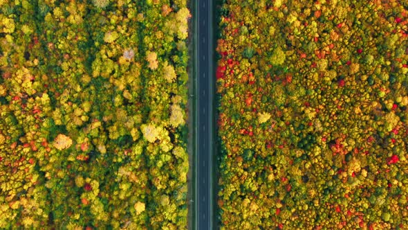 New England Road Trip Fall Background with Copy Space Aerial Above Empty Road