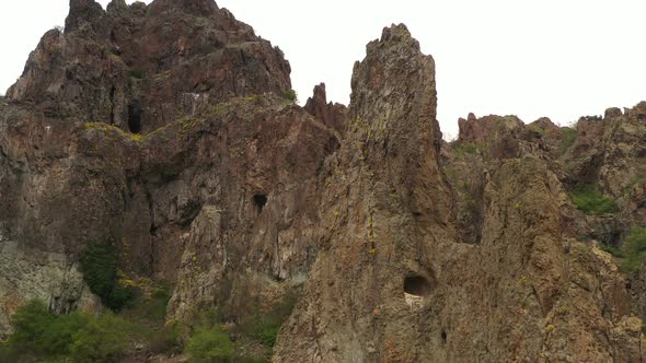 Habitat Of Griffon Vultures