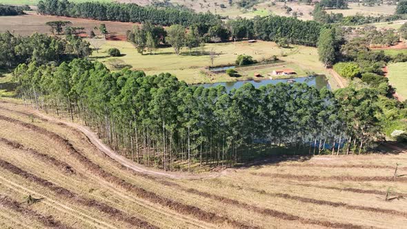 Countryside scenic aerial landscape. Rural life scenery.