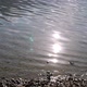 Sun Glitter on a Lake - VideoHive Item for Sale