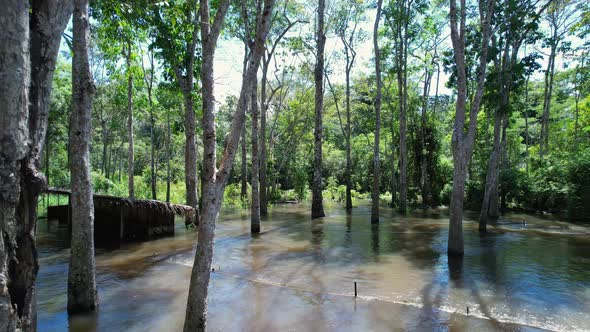 Indigenous native village at Amazon Forest Manaus Brazil.