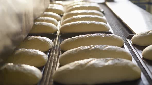 The Baker Preparing Loaves of Bread Before Baking in the Professional Oven