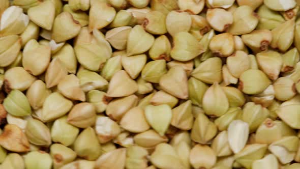 Closeup of Rotating Green Buckwheat on Table