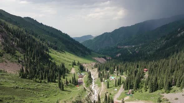 Aerial Forest Spruce in the Mountain of Almaty