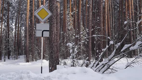 Road Sign a Priority Road in Snowy Forest