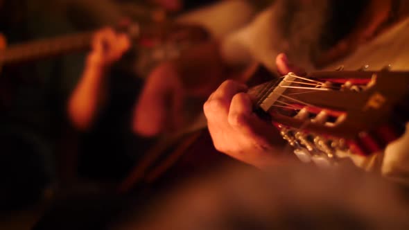 People Gathering & jamming playing guitar. Young hipster People Gathered and singing Around Campfire