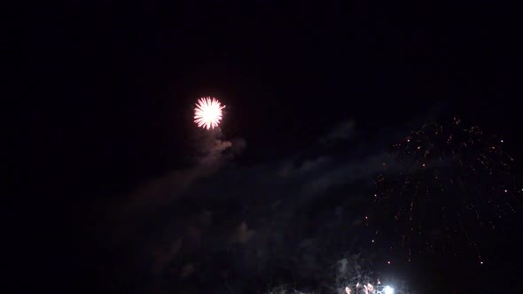 Colorful Firework display at night on sky background alt