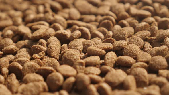 Healthy  heap of dry  pet pellets   4K 2160p 30fps UltraHD panning  footage - Extruded cat or dog fo
