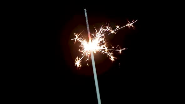 Burning Sparkler Isolated on Black Background