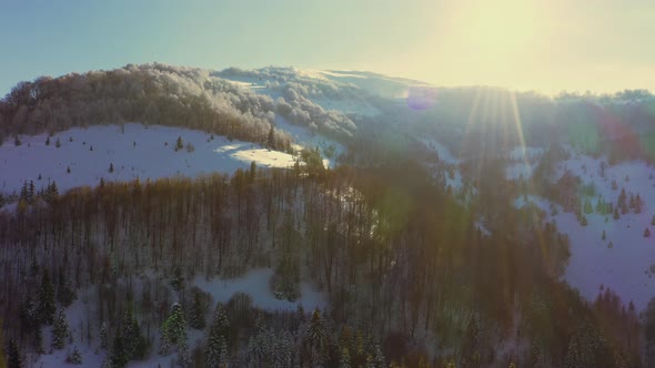 Misty Valley Over Snowcovered Mountains and Green Forests