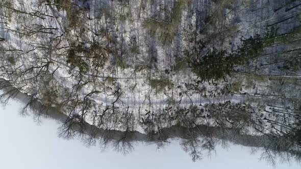 River Bank in Winter 4K