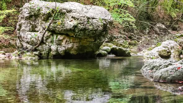 Stream Running Fast in Summer Green Forest