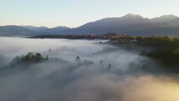 Foggy morning in the forest and landscape