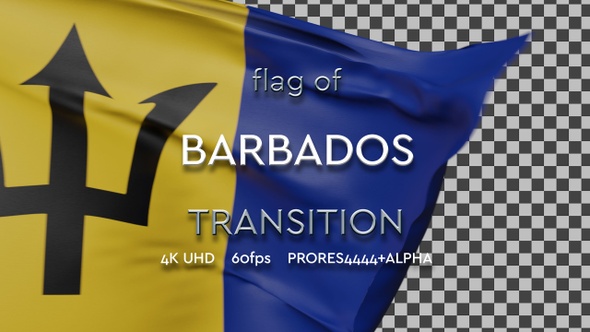 Flag of Barbados Transition | UHD | 60fps