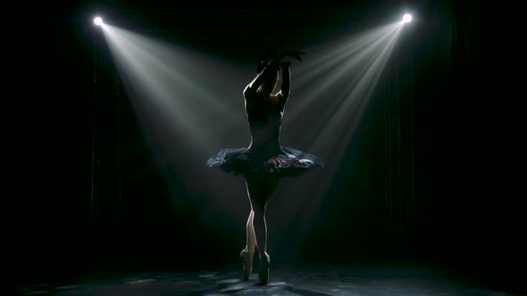 Silhouette of a Graceful Ballerina in a Chic Image of a Black Swan. Dancing of Elements Classical