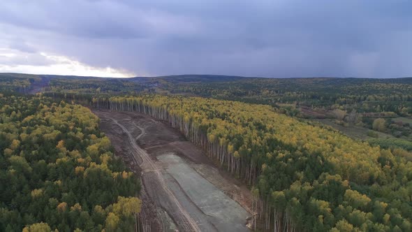 Construction of a new road in the forest area. 03