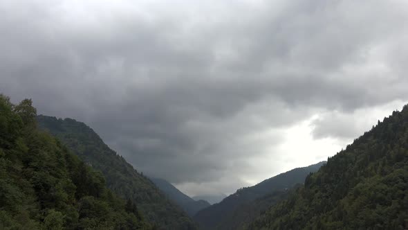 Cloudy Sky Above The Mixed Forest