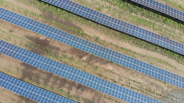 Aerial Top View on Solar Power Station in Green Field on Sunny Day. Solar Farm