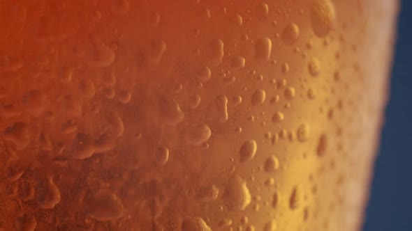 the Light Passes Behind the Glass of Beer Air Bubbles Can Be Seen in the Glass