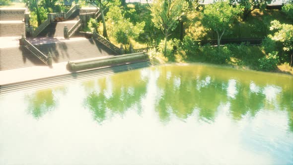 Tranquil Pond Framed By Lush Green Woodland Park in Sunshine