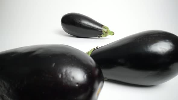 Eggplants 81