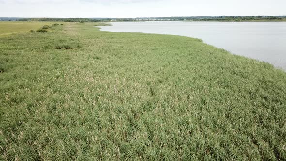 Yanovichskoe Lake And The Vymnyanka River 40