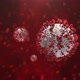 Fictional Image of Coronavirus Infection - VideoHive Item for Sale