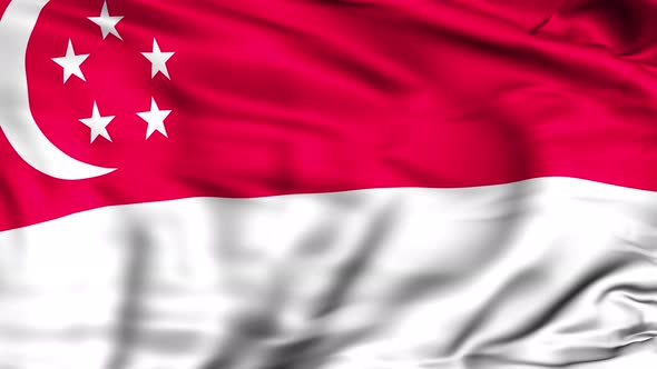 Singapore Flag