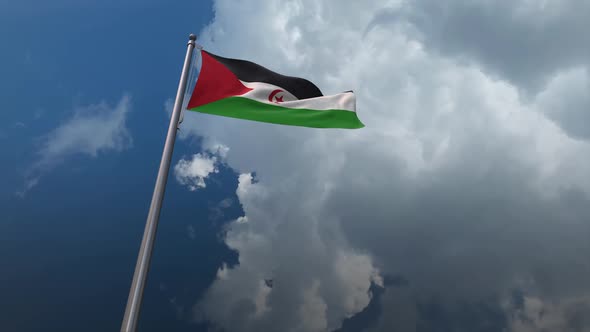 Western Sahara Flag Waving 2K