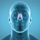 X Ray Human Head With Pituitary - VideoHive Item for Sale