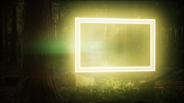 Neon Glowing Rectangle Frame in the Night Forest