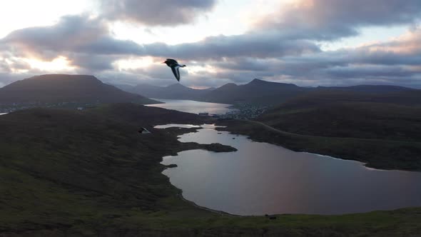 Faroe Islands Landscape