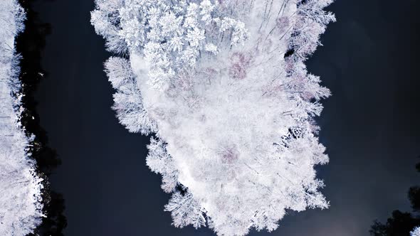 Cold river and snowy frozen forest. Aerial view of winter.