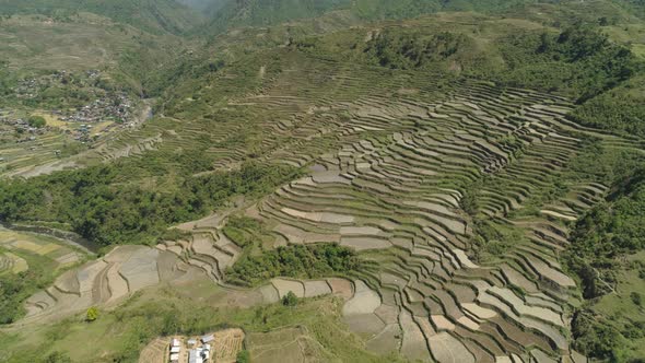 Rice Terraces in the Mountains