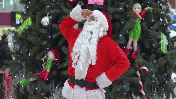 Santa Claus Is Standing on the Shopping Mall Near the Christmas Tree