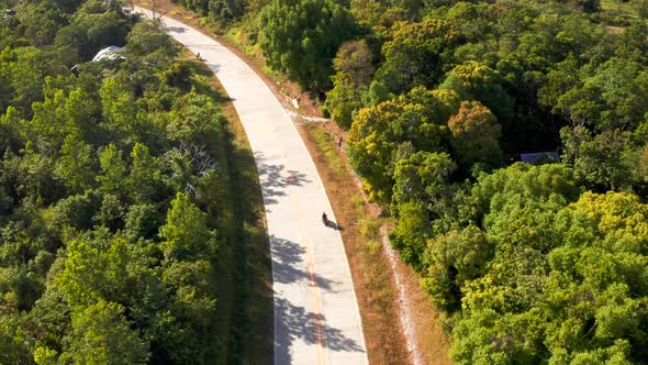 Tropical Road Through the Palm Forest with Green Jungle Hills on the Background Arial Drone View