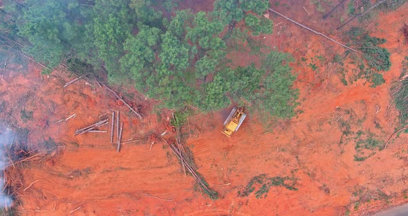 A Dozer Used to Clean Up a Deforested Forest Before Construction and Prepare the Land for