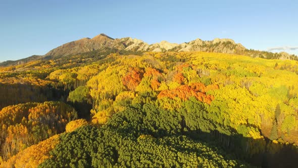 Fall colors in Crested Butte, Colorado