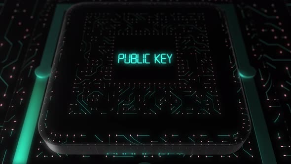 Digital Circuit Board Public Key