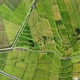 Aerial drone footage of green farmland - VideoHive Item for Sale