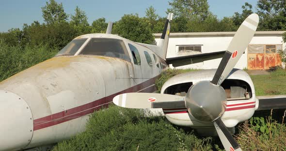 Video of an Old Plane Overgrown with Grass and Trees