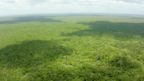 Aerial View of the Mexican Jungle From Above