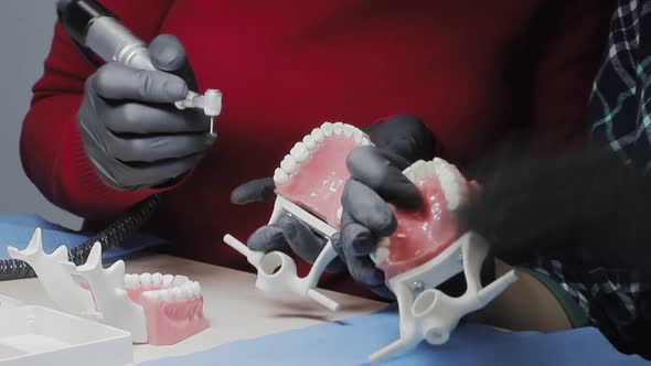 Dentist in Black Gloves Close-up of on a Mock-up of a Skeleton of Teeth Using a Drill Machine. the