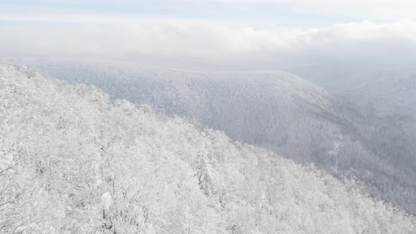 A Snowcovered Forest Winter Landscape in Mountains  Top View