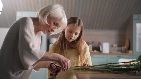 Positive girl with grandmother trimming the ends of the flowers