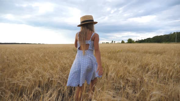 Follow To Cute Child with Long Blonde Hair Walking Through Wheat Field at Overcast Day. Small Girl