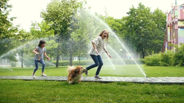 Girls Playing With The Dog At The Park