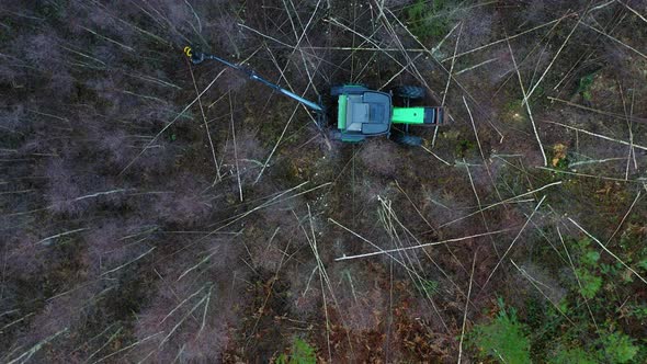 Bird eye view of green tractor cutting trees in forest